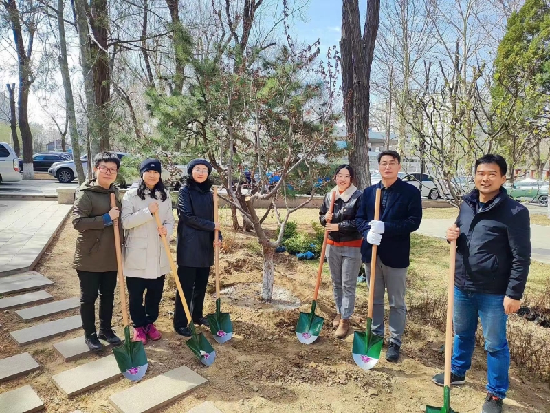 植树7.jpg