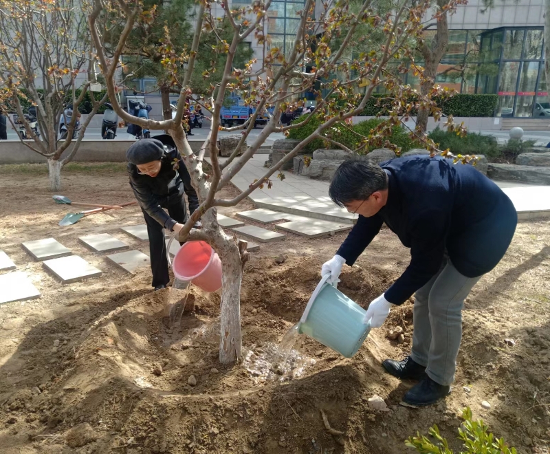 植树1.jpg